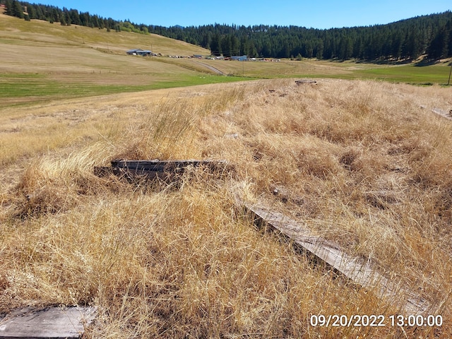 37 Old Ranch House Rd, Republic, WA 99166 - photo 19