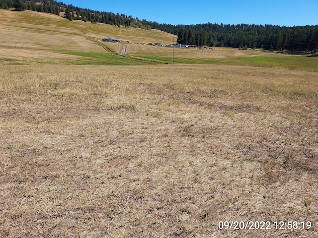 37 Old Ranch House Rd, Republic, WA 99166 - photo 17
