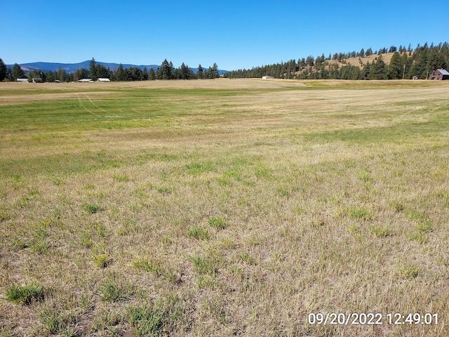 37 Old Ranch House Rd, Republic, WA 99166 - photo 12