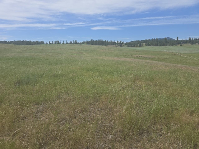 107X Bear Creek Rd, Colville, WA 99114 - photo 4