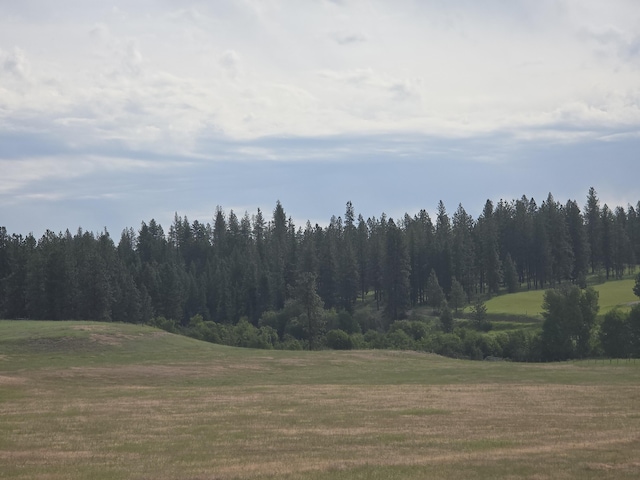 107X Bear Creek Rd, Colville, WA 99114 - photo 6