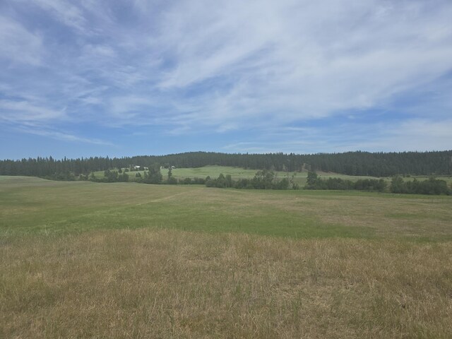 107X Bear Creek Rd, Colville, WA 99114 - photo 3