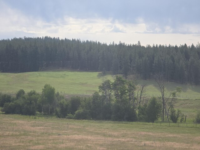107X Bear Creek Rd, Colville, WA 99114 - photo 5