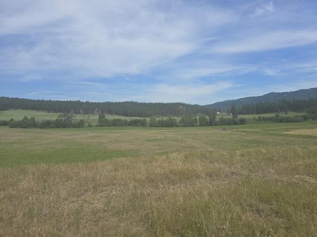 107X Bear Creek Rd, Colville, WA 99114 - photo 1