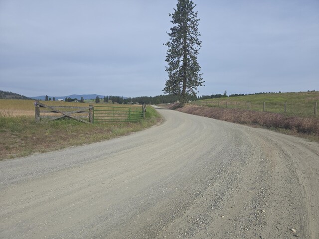 107X Bear Creek Rd, Colville, WA 99114 - photo 10