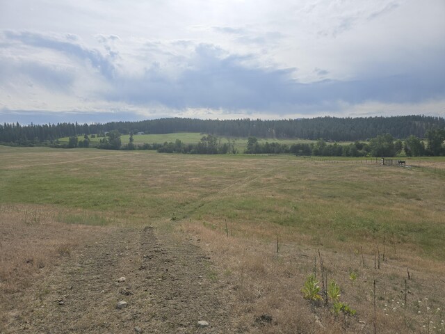 107X Bear Creek Rd, Colville, WA 99114 - photo 7