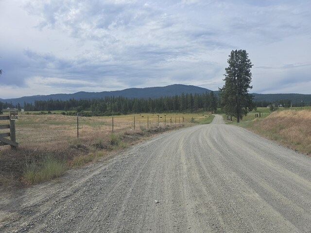 107X Bear Creek Rd, Colville, WA 99114 - photo 9