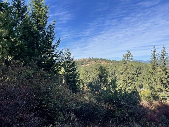 40XX Bissel Rd, Hunters, WA 99137