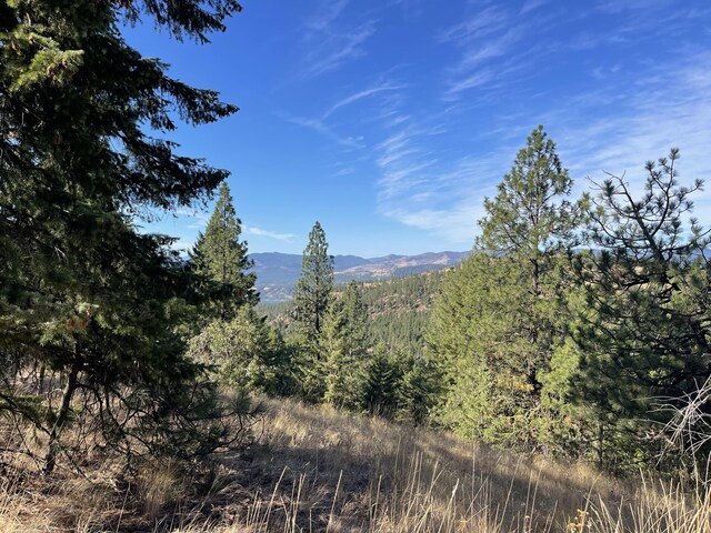 40XX Bissel Rd, Hunters, WA 99137