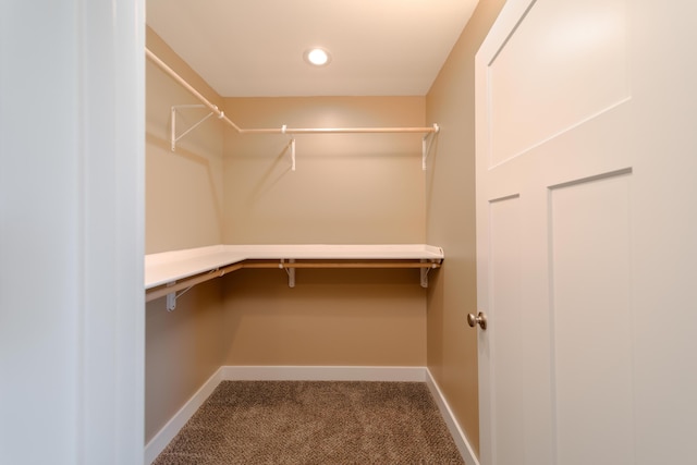 walk in closet featuring carpet flooring and built in study area