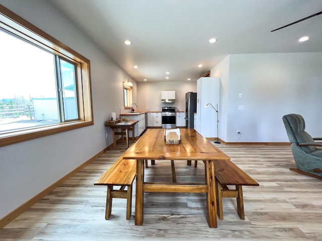 dining room with light hardwood / wood-style flooring