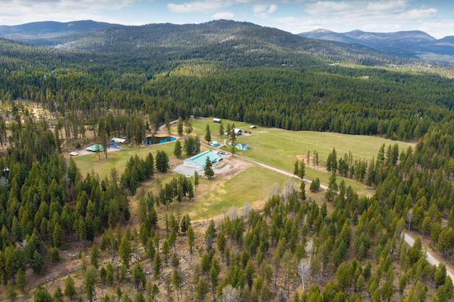 birds eye view of property featuring a mountain view