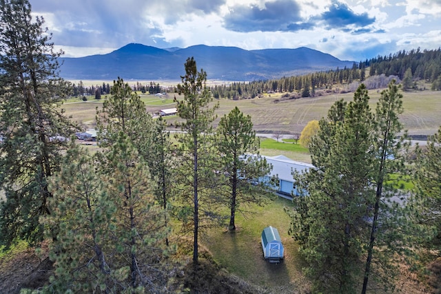 176 Aladdin Rd, Colville, WA 99114 - photo 46