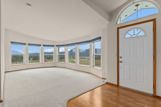 176 Aladdin Rd, Colville, WA 99114 - photo 10