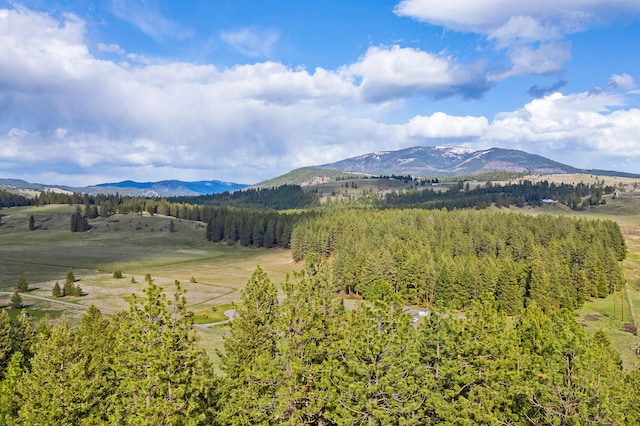 176 Aladdin Rd, Colville, WA 99114 - photo 47