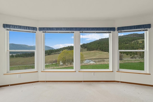 176 Aladdin Rd, Colville, WA 99114 - photo 11
