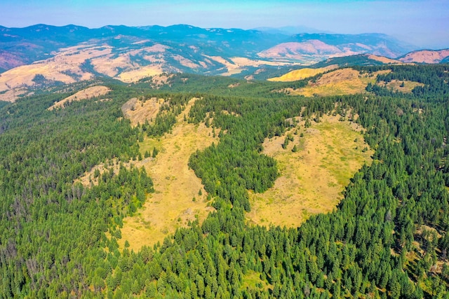 3XX Day Creek Rd, Curlew, WA 99118
