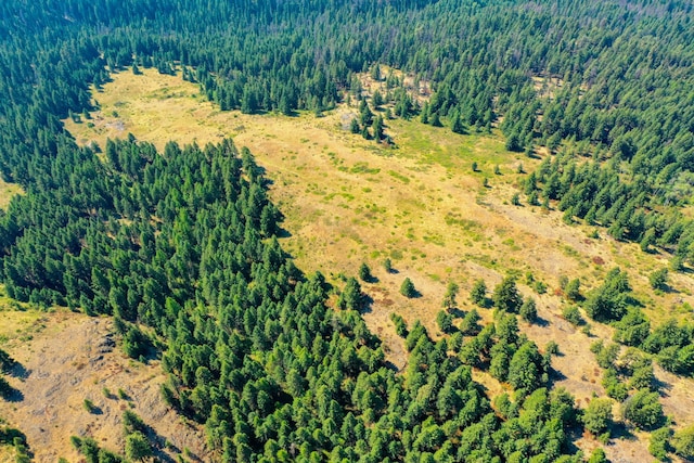 3XX Day Creek Rd, Curlew, WA 99118