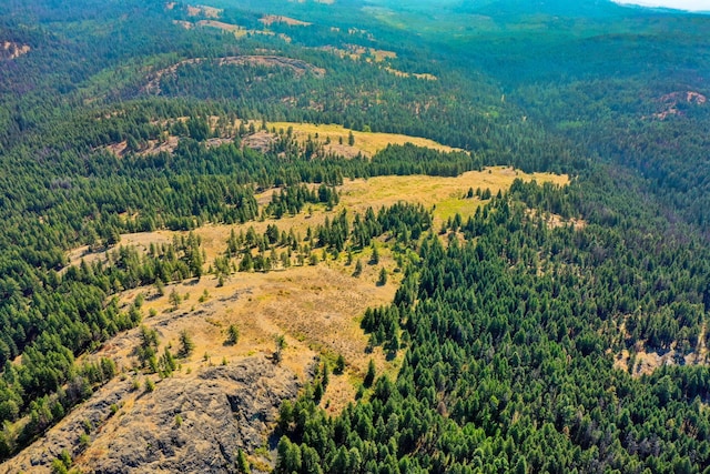 3XX Day Creek Rd, Curlew, WA 99118