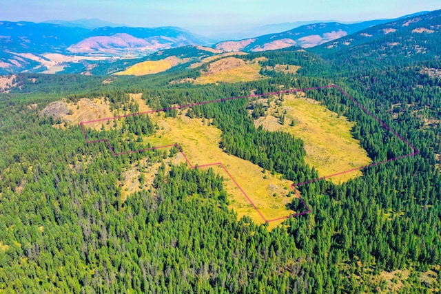 3XX Day Creek Rd, Curlew, WA 99118