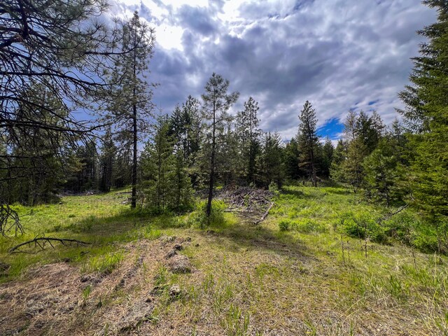 2010 Clemons Rd, Rice, WA 99167 - photo 37