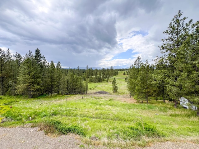 2010 Clemons Rd, Rice, WA 99167 - photo 44