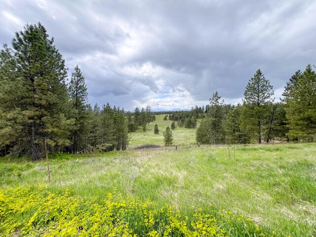 2010 Clemons Rd, Rice, WA 99167 - photo 45