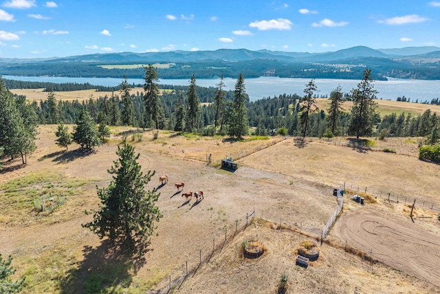 3305 Bradeen Rd, Rice, WA 99167 - bird's eye view of a water and mountain view