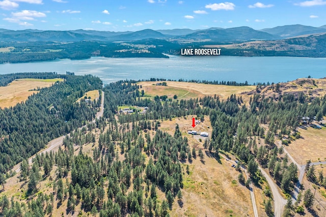 3305 Bradeen Rd, Rice, WA 99167 - aerial view of a water and mountain view