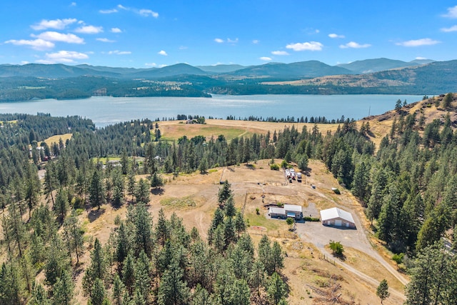 3305 Bradeen Rd, Rice, WA 99167 - bird's eye view of a water and mountain view