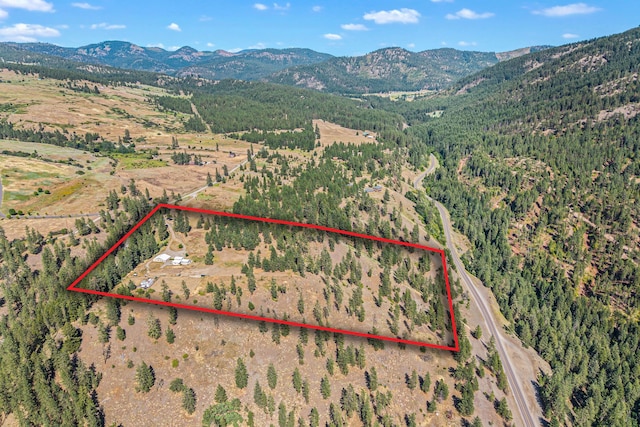 3305 Bradeen Rd, Rice, WA 99167 - drone / aerial view of a mountain backdrop