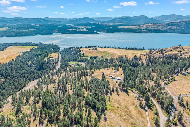 3305 Bradeen Rd, Rice, WA 99167 - drone / aerial view of a water and mountain view