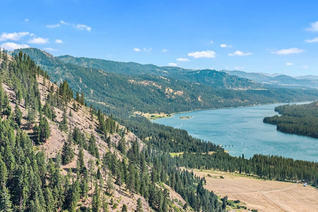 3305 Bradeen Rd, Rice, WA 99167 - water view featuring mountains and a forest