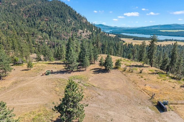 3305 Bradeen Rd, Rice, WA 99167 - mountain view with a nearby body of water and a heavily wooded area