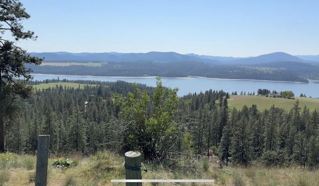 3305 Bradeen Rd, Rice, WA 99167 - mountain view with a large body of water and a heavily wooded area