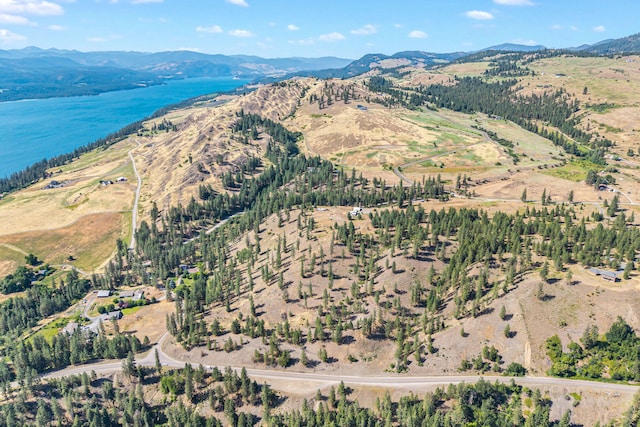3305 Bradeen Rd, Rice, WA 99167 - aerial view of property's location with a water and mountain view