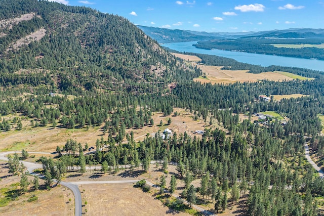 3305 Bradeen Rd, Rice, WA 99167 - view of property location with a water and mountain view and a heavily wooded area