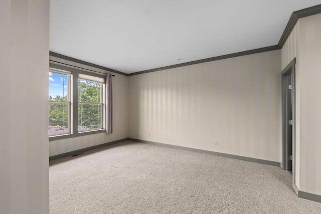 spare room featuring crown molding and carpet flooring