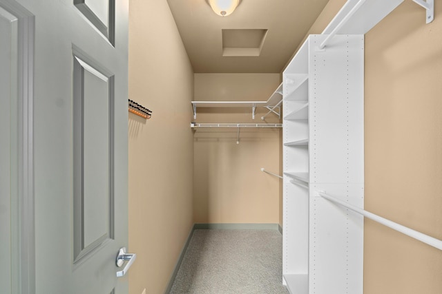 spacious closet with light colored carpet