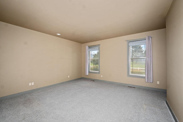 carpeted spare room with a wealth of natural light