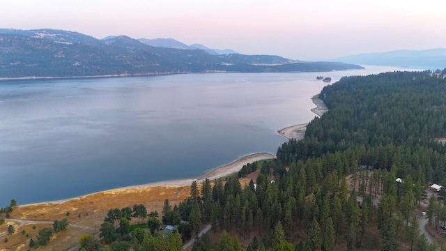 17 Crestview Dr, Kettle Falls, WA 99141 - water view featuring a mountain backdrop and a forest
