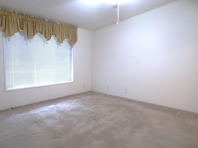 spare room with carpet flooring