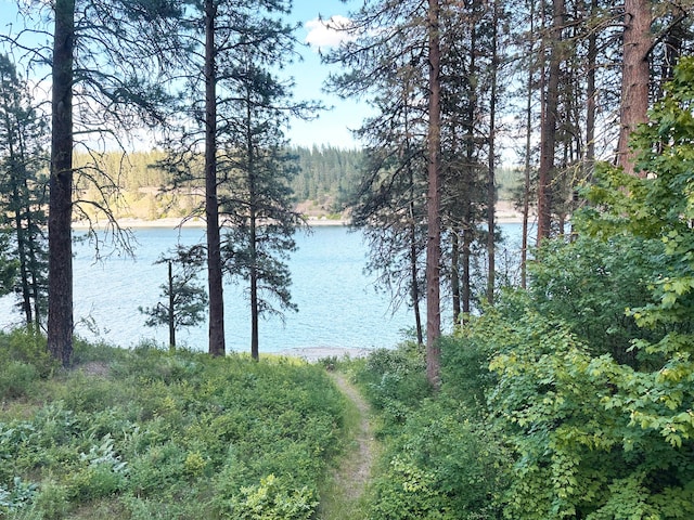 2122 Northport Flat Creek Rd, Kettle Falls, WA 99141 - water view featuring a forest