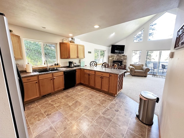 2122 Northport Flat Creek Rd, Kettle Falls, WA 99141 - kitchen featuring black dishwasher, freestanding refrigerator, a sink, open floor plan, and a fireplace