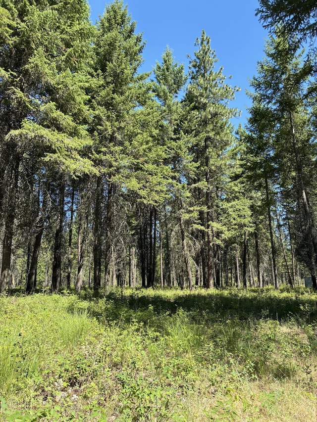 3741 N Deer Lake Rd, Loon Lake, WA 99148 - photo 12