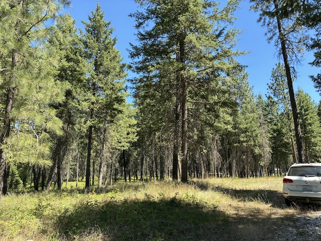 3741 N Deer Lake Rd, Loon Lake, WA 99148 - photo 9