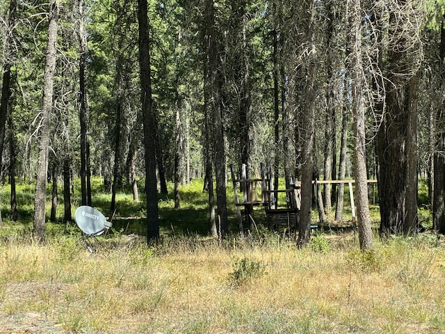 3741 N Deer Lake Rd, Loon Lake, WA 99148 - photo 5