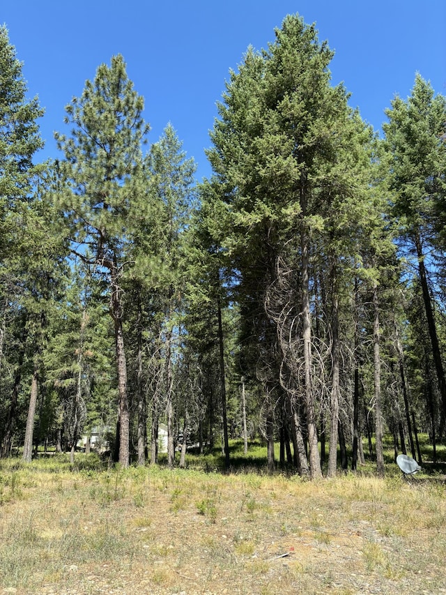 3741 N Deer Lake Rd, Loon Lake, WA 99148 - photo 2