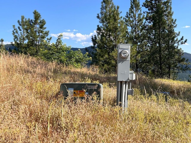 3705 Hope Way, Kettle Falls, WA 99141 - exterior view of a pad mount transformer and electric meter