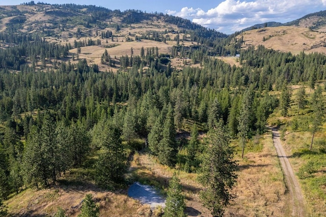 3705 Hope Way, Kettle Falls, WA 99141 - mountain view with a heavily wooded area